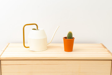 Cactus and watering can on a wooden shelf. Plant home decoration. Minimal
