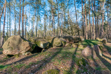 Fototapete bei efototapeten.de bestellen