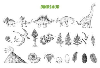 Dinosaurs hand drawn sketch. Vector illustration. Jurassic period. Herbivorous and carnivorous dinosaur. Hand drawn collection. © vidimages