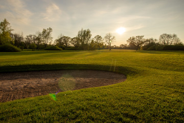 Afternoon walk on a sunny day