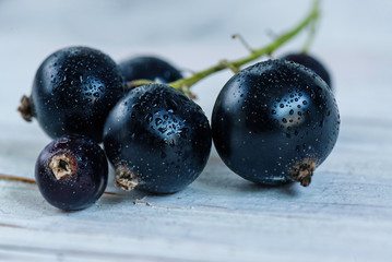 Black currant with leaves on the white background