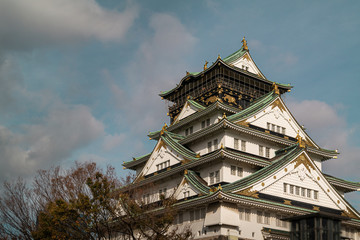 The magnificent and beautiful Osaka Castle visited during a trip to Japan.