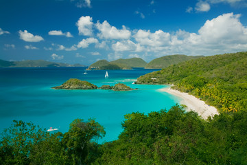 Obraz premium Trunk Bay Beach in the Virgin Islands National Park on the caribbean island of St John in the US Virgin Islands