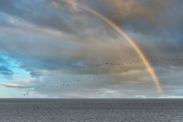 Baltic Sea in Spring With Rainbow