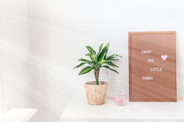 Scandinavian style home interior with a white table or workspace, green palm in pot, and pegboard with inspiring phrase, minimalistic concept, sun rays from window, horizontal, copy space