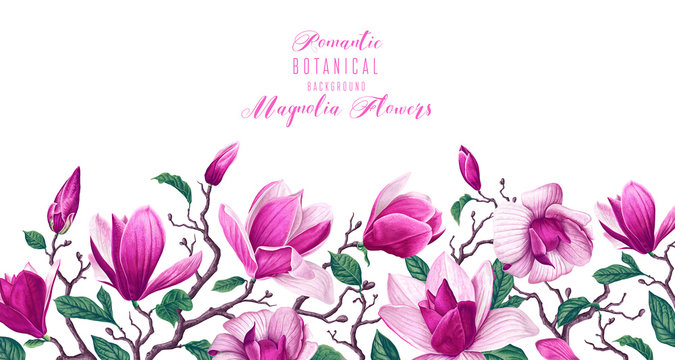 Vector horizontal border with pink magnolia flowers and leaves isolated on white background. Spring theme background, vector, botanical floral design in realistic style. Greeting, invitation card.