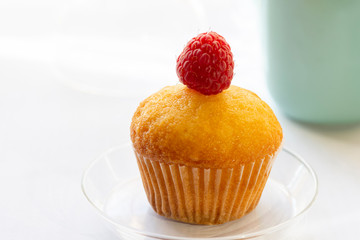 cupcake with raspberry
