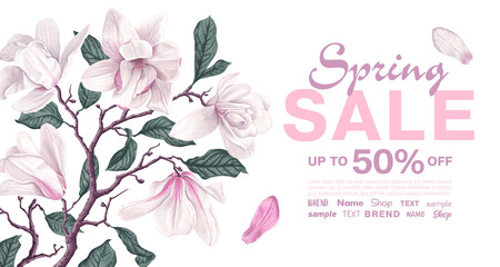 Spring sale banner template with branch of magnolia. Background with white magnolia flowers and leaves. Vector, realistic style. Spring discount, poster, advertising, template for internet promotion. © MPetrovska