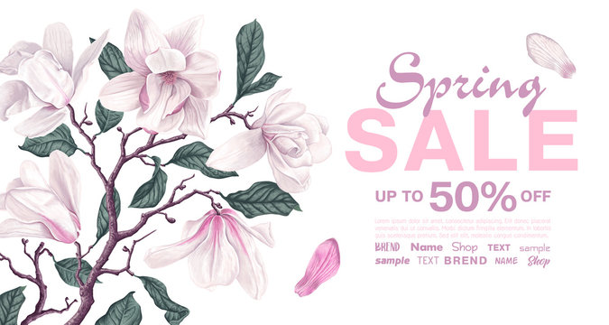 Spring sale banner template with branch of magnolia. Background with white magnolia flowers and leaves. Vector, realistic style. Spring discount, poster, advertising, template for internet promotion.
