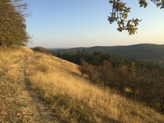 Obraz premium Path in the mountain