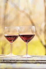two glasses of red wine in the background of a beautiful natural landscape