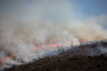 Grass burns in the field.