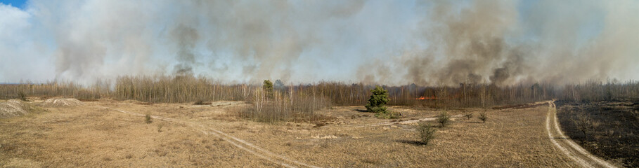 In Ukraine, forests and fields are burning.