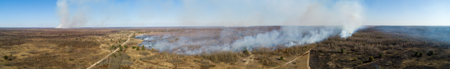 In Ukraine, forests and fields are burning.