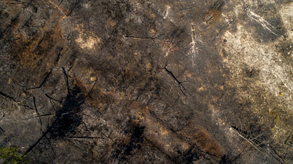 Large-scale fire burned forest. Top view field.