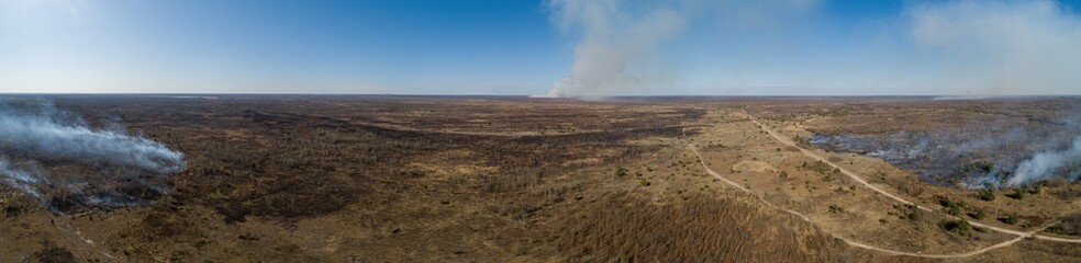 Large-scale fire burned forest and field Panorama.