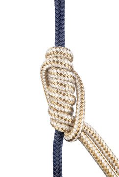 Klemheist Knot on white