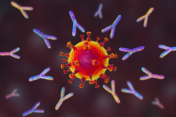 Antibodies attacking SARS-CoV-2 virus - obrazy, fototapety, plakaty