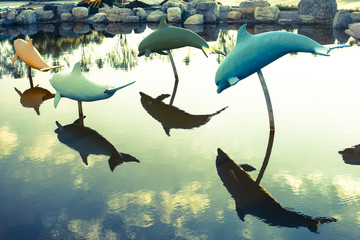 flying Dolphins 