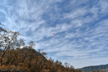 Blue cloudy sky in the forest with a paraglider