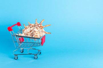 beautiful shell in a shopping trolley on a blue background