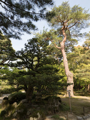 Jardines Kenrokuen, en Kanazawa, Japón