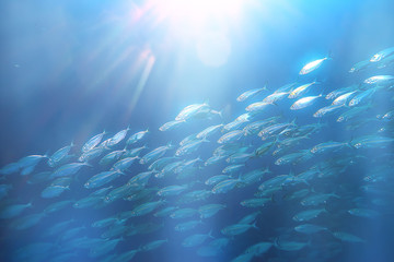 sun rays scuba reef / blue sea, abstract background, sunny day, rays in water