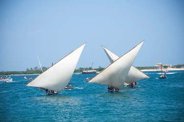 Traditional dhow sailboat race