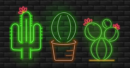 Neon cactus set, beautiful green cactus, brick background, neon lights vector illustration