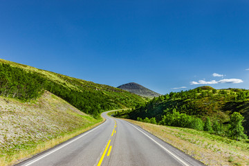 Landstraße durch Skandinavische Landschaft im sommer
