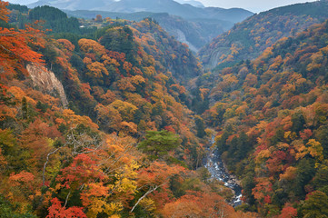 美しい渓谷と紅葉。 大分県阿蘇くじゅう国立公園で撮影。