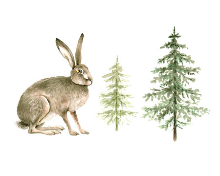 set of brown wild hare with green christmas trees, watercolor illustration on white fln