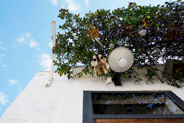 White building facade with greenery, lamp and bamboo sound instrument above the door from unesco world heritage Trulli of Alberobello in Italy