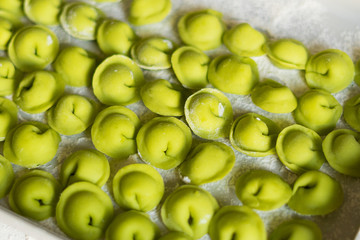 The process of sculpting dumplings. Green dumplings with cheese. Russian dumplings