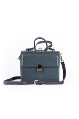 leather elegant women bag. Fashionable female handbag, isolated