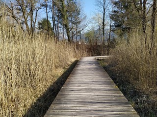 Lachen, Delta, natur, holz, hölzern, landschaft, wald, park, brücke, green, gras, baum, road,...