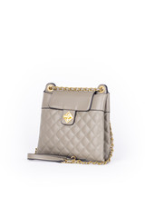 leather elegant women bag. Fashionable female handbag, isolated