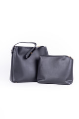 leather elegant women bag. Fashionable female handbag, isolated