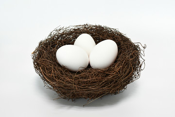 eggs in nest isolated on white background