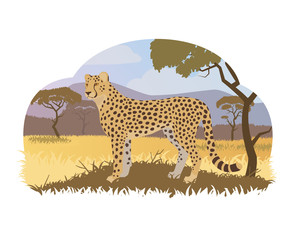 Cartoon cheetah in savannah. Stock vector illustration. Safari animals, savannah landscape.