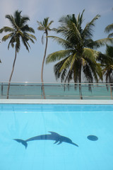 Fototapeta na wymiar Hikkaduwa, Sri Lanka - March 12, 2019: Swimming pool with ocean view in Cool Beach Hotel