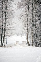 Zimowy krajobraz w Nałęczowie, Polska