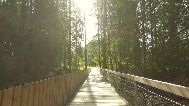 sortie en v&eacute;lo du parc Tyresta National Park (pont)