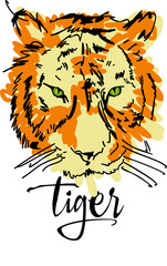 Tiger. Vector illustration. Good design for greetings, cards, t-shirt      design and the like
