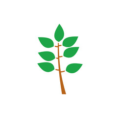Leaf related icon on background for graphic and web design. Creative illustration concept symbol for web or mobile app