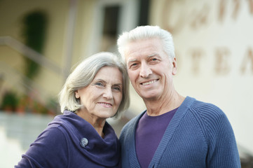 Portrait of senior couple posing in park