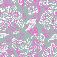 Vector hand drawn Ginger seamless pattern.
