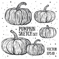 Doodle pumpkins.Vector paint hand drawn picture in cartoon style. Stock illustration.