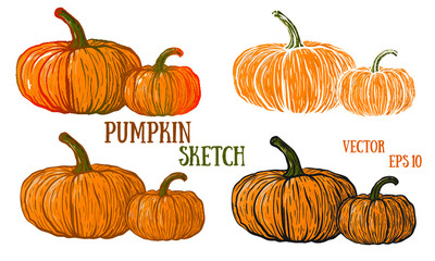 Doodle pumpkins.Vector paint hand drawn picture in cartoon style. Stock illustration.v