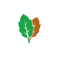 Leaf related icon on background for graphic and web design. Creative illustration concept symbol for web or mobile app
